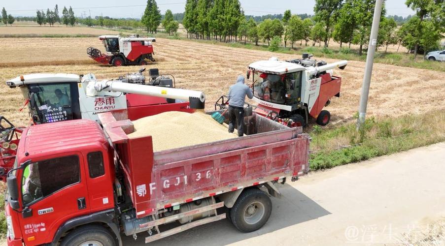 “三夏”中的新型生产力 “三夏”中的新型生产力