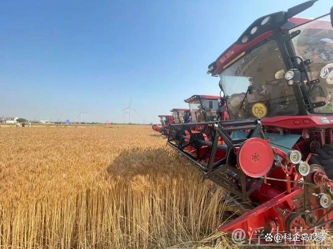 “三夏”中的新型生产力 “三夏”中的新型生产力